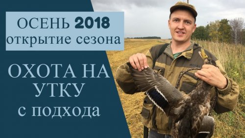 Охота На Уток 2022 Год Новое Видео Охота На Уток 2022 Год Новое Видео